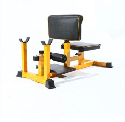 China ZYFIT Fitness Gym Indoor Sissy Bench Squat Machine for sale