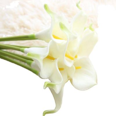 China Traditional Home Decor Artificial Flower Stem Simple Touch Common Callalily Cheap Single Pu for sale