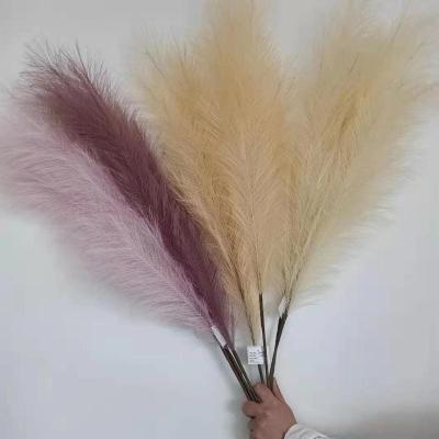 China Wedding Decoration New Arrivals Natural Decorative Flowers Dry To Flower Artificial Flowers Tall Pampas Grass for sale