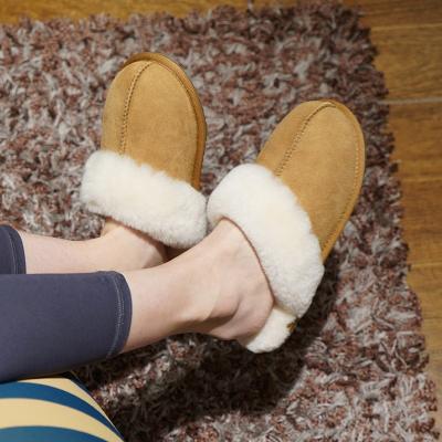 China Fashion Trend Factory Price House Slippers Fall Winter Women Sheepskin Slippers In Door Slippers for sale