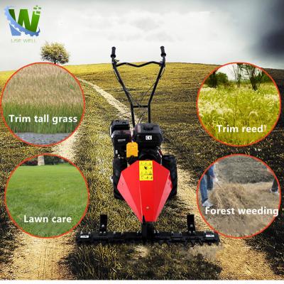 China 4-Stroke Dairy Farming Grass Cutting Machin Electric Hand Push Gasoline Lawn Mowers Machine Manual Hand Held Lawn Mower for sale