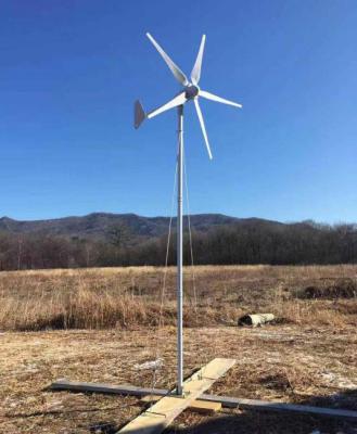 China 10W-30W Generators Wind Turbine Generation Circuit Windmill Generator FD 1000W Solar Hybrid Wind Power Generator for sale