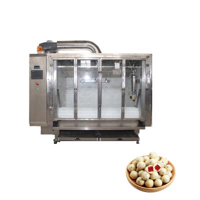 China Snacks Factory China Factory Belt Peanuts Chocolate Coating Machine Medium Capacity Chocolate Candy Coating Machine for sale