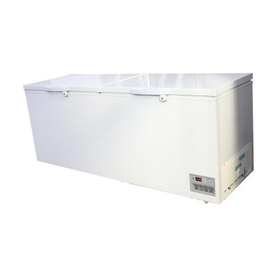 China Horizontal Single-temperature Factory Manufacture Restaurant Refrigerator Freezer for sale