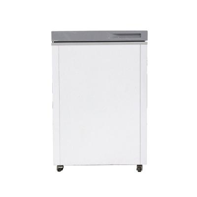 China 2022 Single-temperature Factory Manufacture Refrigerator Small Deep Freezer Freezer for sale