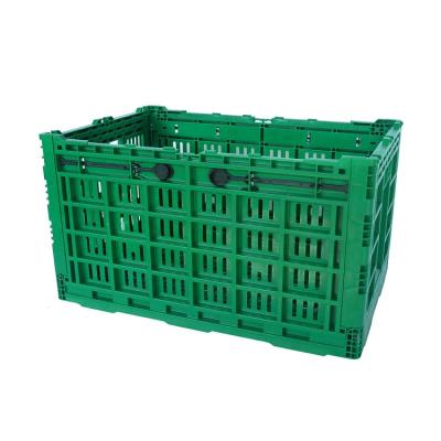 China Linkind Recyclable Plastic Vegetable Crates Box Folding Basket Folding Storage Box LK604034W for sale