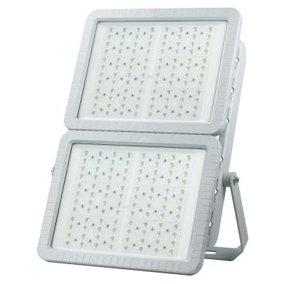 China Chinese Factory Explosion Proof Lights Aluminum Led Workshop 600W 500W Explosion Proof Light Flood Light for sale