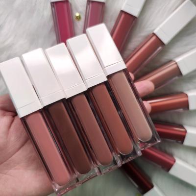 China Waterproof High Pigmented Long Lasting Waterproof Lipstick Private Label Matte Liquid Lipstick for sale