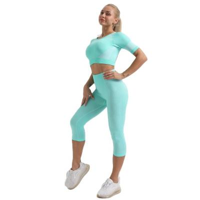 China Breathable Gym Clothing Workout Sets Active Wear Set Training And Jogging Wear Gym Fitness Sets for sale