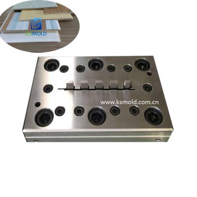 China Steel High Standard Quality WPC Wall Panel Extrusion Mould Die Tooling Mold WPC Machine for sale