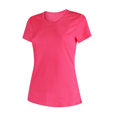 China Summer QUICK DRY Casual Women's Breathable Sports Short Sleeve Polyester Sports Quick Dry T-Shirt for sale