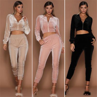 China Anti-wrinkle 2020 Fall Autumn Womens Zip Up Sweatshirt Suits Sports Long Sleeve Cropped Hoodie Pants 2 Piece Sets Woman Velor Tracksuit for sale