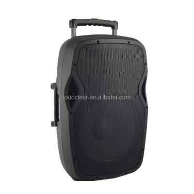 China 15inch PORTABLE Studio Loudspeaker Stage Loud PA Speaker System with MP3/USB/SD/Microphone for sale