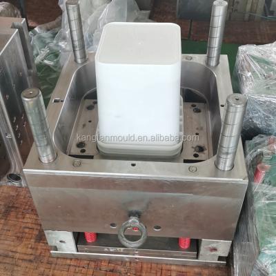 China Plastic Injection Molding Square Plastic Bucket Container Molds for sale