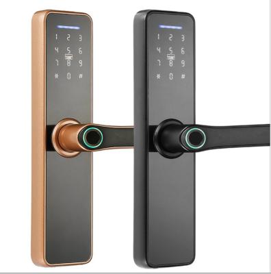 China ttlock home waterproof smart door lock fingerprint smart door lock hotel apartments office rfid card rfid card for sale