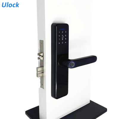 China Hot Sale Zinc Alloy Battery Operated Smart Door Lock Bedroom Door Lock Smart Home TY10 for sale