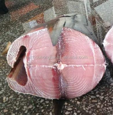 China wholesale frozen scad fish amberjack fish HGT yellow tail all size for sale