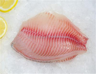 China Frozen red tilapia GS (oreochrimis niloticus) WR of FROZEN good quality fish for sale