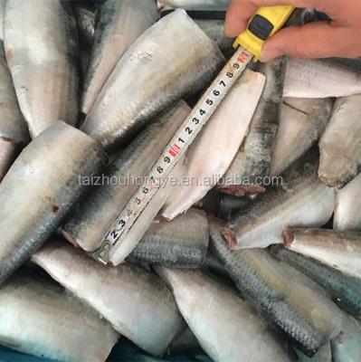 China FROZEN Frozen Sardine HGT Sardinella Longiceps For Canning And Market for sale