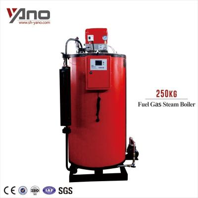 China VERTICAL Business 200Kg/HR Condensing Machine Gas Soybean Rice Boiler Rice Boilers for sale