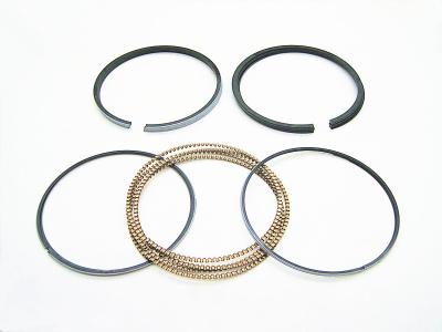 Cina Per Hino Piston Ring LD20 VUJC22 85.0mm 2+2+4 4 No.Cyl Alto carico in vendita