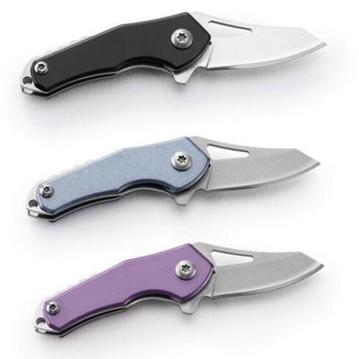 China Customized Wholesale Non-changeable Stainless Steel Color Folded Knife For Outdoor Camping for sale