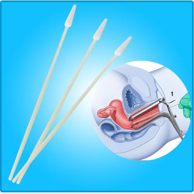 China Medical Disposable Transport High Vaginal Cervical Sample Collection Laboratory Hospital Sampling Flocking Swab for sale