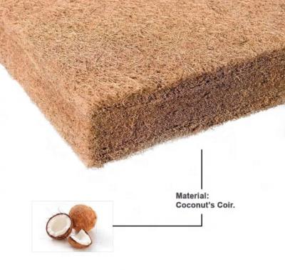 China Mute Design Big Price Cotton Coconut Fiber Sheet Pads Palm Mattress Coconut Coir Mattress for sale