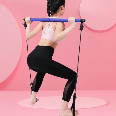 China Unique Multifunctional Elastic Stretch Belt Pull Up Rope Home Equipment Yoga Stick Fitness Stick Pilates Trainer for sale