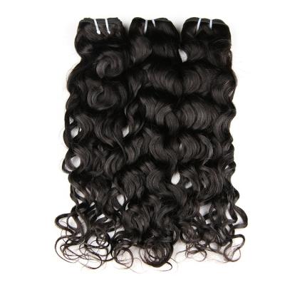 China Water Wave Cuticle Aligned Raw Water Wave Hair Bundles Vendors, Water Wave Hair Extensions, Cambodian Raw Human Hair Unprocessed Virgin Hair for sale