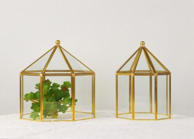 China Glass gold black copper greenhouse dust box cake cover jewelry window display package box Yiwu wholesale for sale