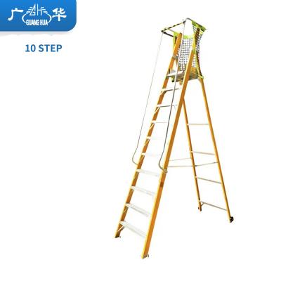 China Folding Ladders 10 STEP Lightweight Fiberglass Straight Ladder for sale