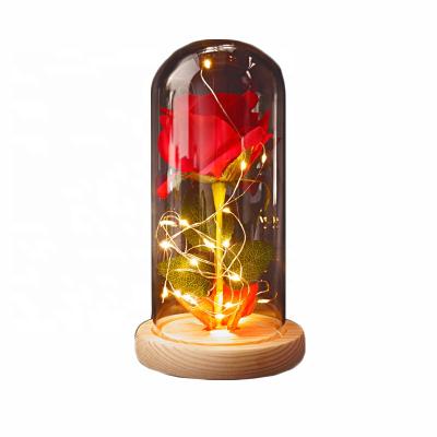 Cina 24k Gold Foil Beautiful Colorful Valentines Rose Flower Light In Glass Dome Bottle Gold Gift Box Eternal Artificial Galaxy Christmas M065 Led Roses in vendita