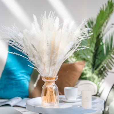 China 2022 Package L173 Amazon Durable Hot Selling Pampas Grass Dry Pampas Grass Colorful Natural Natural Pampas Grass For Wedding Home Decoration for sale