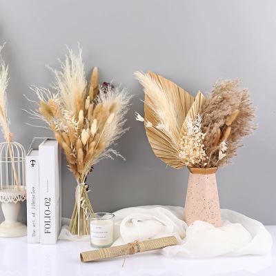 China Natural Plants R132 Amazon Flowers & Success Pampas Wedding Supplies Home Decoration Pampas Bouquet Dried Pampas Flower Arrangement for sale