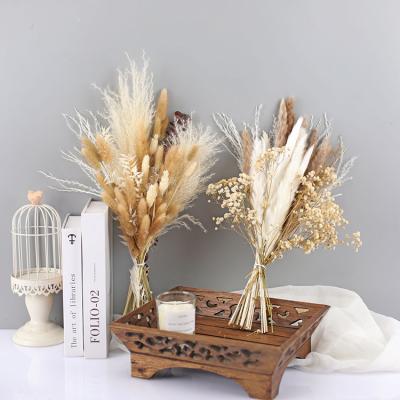 China R134 Natural Dried Flower and Plant Flower Decoration Wedding Home Decoration Dried Pampas Grass Bouquet for sale