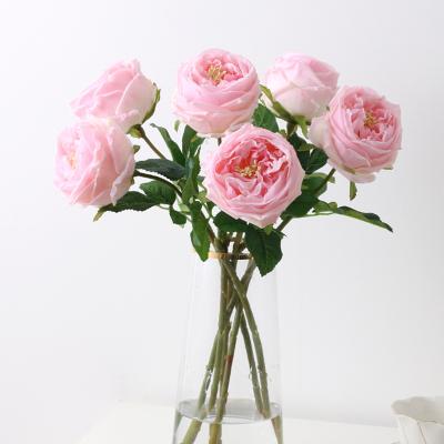 China Real Success Rose Flower Real Touch Blushing Artificial Rose Artificial Flowers from Touch R118 Amazon for sale