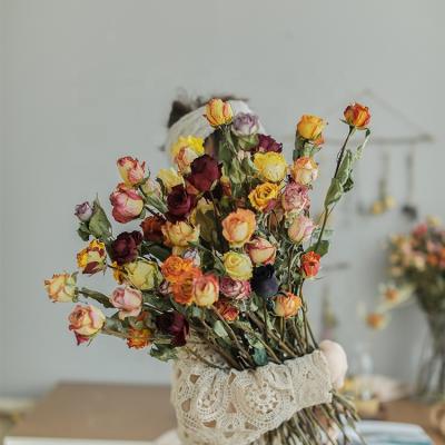 Cina Suppliers Natural Wholesale Decor Touch M008 Dry Flower Lasting Forever Roses Real Natural Dried Flower Dried Flower Bouquet For Flower Arrangement in vendita