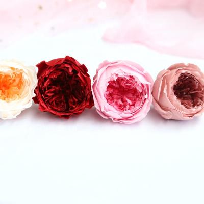 Chine Luxury Natural Touch M087 Rose Head In Box Real Garden Preserved Roses Preserved David Austin Rose For Wedding Bouquet à vendre