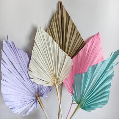 China R051 natural flowers and plants palm dry leaf wedding home decoration dried natural palm leaves flowers Te koop