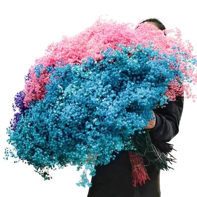 China Natural Flowers and Plants R053 Dried Flower Supplier Preserved Flower Bouquet Babies Breath Dried Gypsophila Dried Flower Te koop