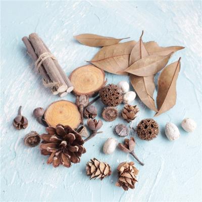 Cina L176 Long Lasting High Quality Naturally Dried Flowers Dried Fruit Materials For Making Scented Candles Braiding Photo Album in vendita