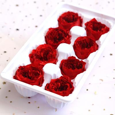 Chine L199 Grade B 8 Pcs 4-5Cm Long Lasting Colorful Luxury Real Roses Preserved Fresh Flower Wholesale For Handmade Gift à vendre