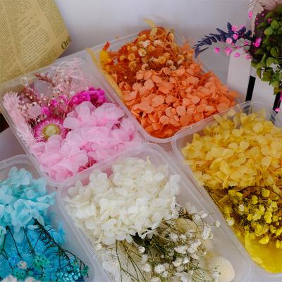 Κίνα High Quality Handwork N098 Diy Material Factory Price Many Different Types Of Dry Flowers Box Dry Flowers For Handwork προς πώληση