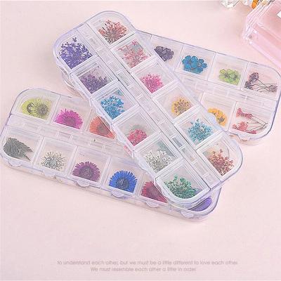 China N101 Trendy Pressed Coral Flower Hydrangea Pressed Flower For Nail Art Mix Pressed Flowers In Twelve Grid Box Te koop