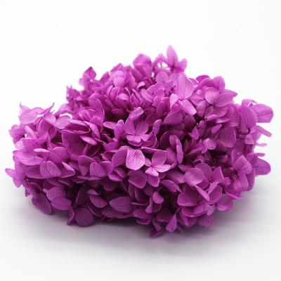 Cina R369 Christmas Wedding Anniversary Immortal Hydrangea Flowers Preserved Flower Arrangement Decorative Hydrangea Flowers in vendita