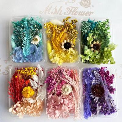 China M81 Natural Touch Held Mixed Diy Flowers Craft Decoration Color Box Enternal Dry Plants Flower Diy Accessories Jewelry Frame Dry Flowers for sale