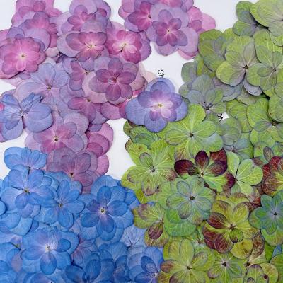 China Garden Wedding Anniversary N069 Amazon Success Factory Price High Quality Handmade Materials Dried Flower Specimen Dried Flowers for sale