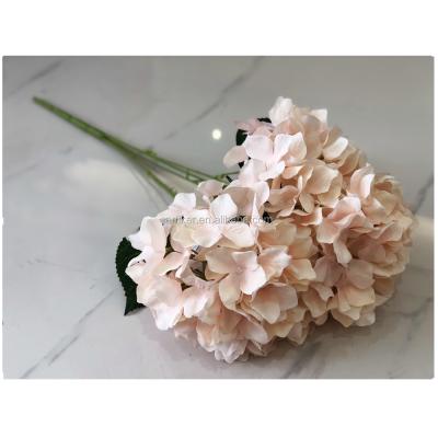 China Eco-friendly Amazon Hot Selling Bouquet Artificial Flower Rose Hydrangea For Flower Arrangements for sale