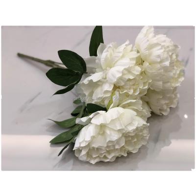 China Factory Price Eco-friendly Peony Flower Head Silk Flowers Rose Wedding Decoration Artificial Backdrop Wall for sale